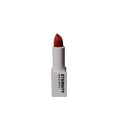 Eternity Matte Lipstick(06 Misty Rose)